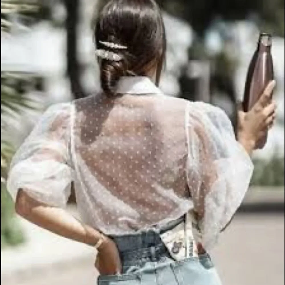 ZARA Organza Puff Sleeve Blouse Blogger Choice